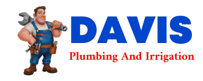 Trusted plumber in MARTHAVILLE